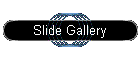 Slide Gallery