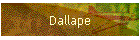 Dallape